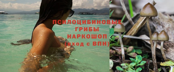 ПСИЛОЦИБИНОВЫЕ ГРИБЫ Беломорск